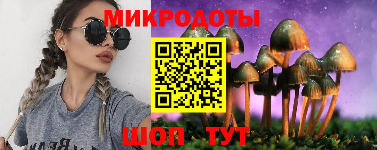 Псилоцибиновые грибы мицелий Рязань