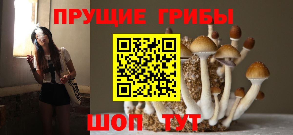 Галлюциногенные грибы мицелий  Вход с VPN  Рязань  Галлюциногенные грибы прущие грибы 